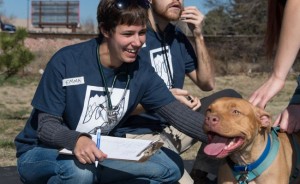 Colorado State University Helps at Project Homeless Connect