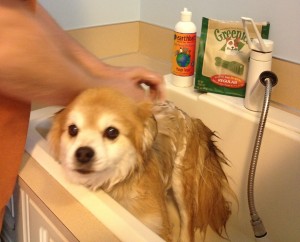 Quixote bath