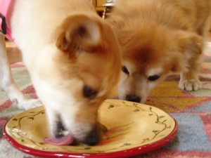 CleanPlateClub