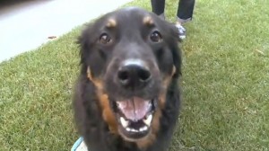 Tucker