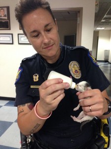 phoenixofficerkitten