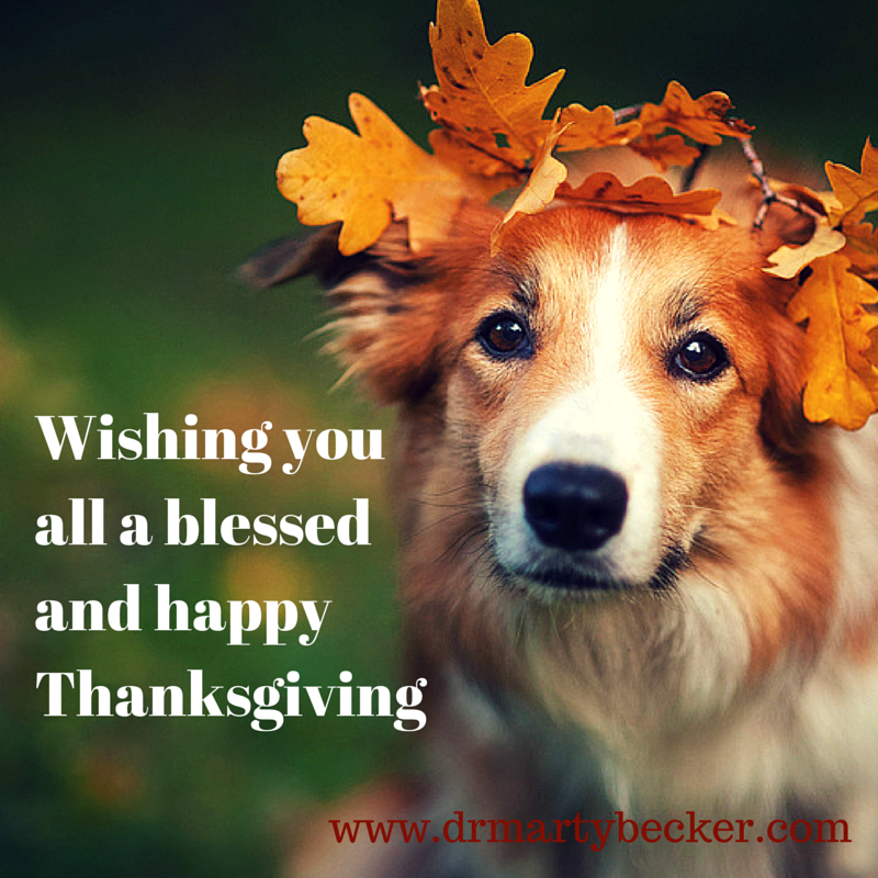 Collection 103+ Wallpaper Happy Thanksgiving Images With Dogs Sharp