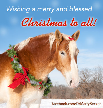Christmas2013_FBGraphic_v2a