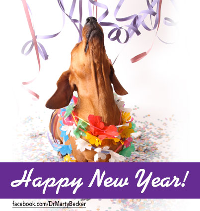 NewYear2013_FBGraphic_v2a-02