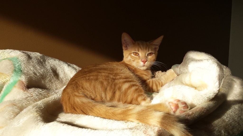 CutieGrownUp