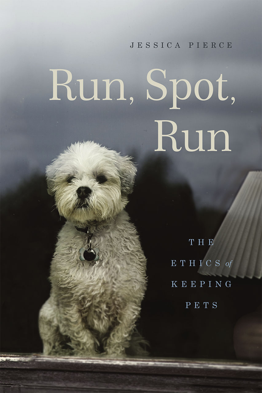book-cover-run-spot-run