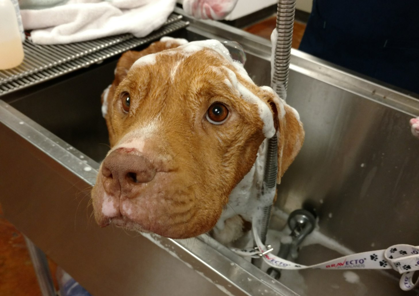 LazaRuff having a bath