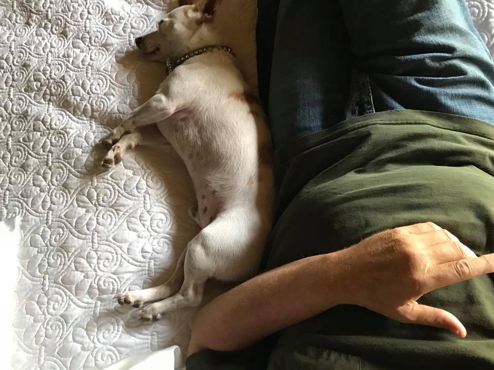 QT Napping with Dr Dad