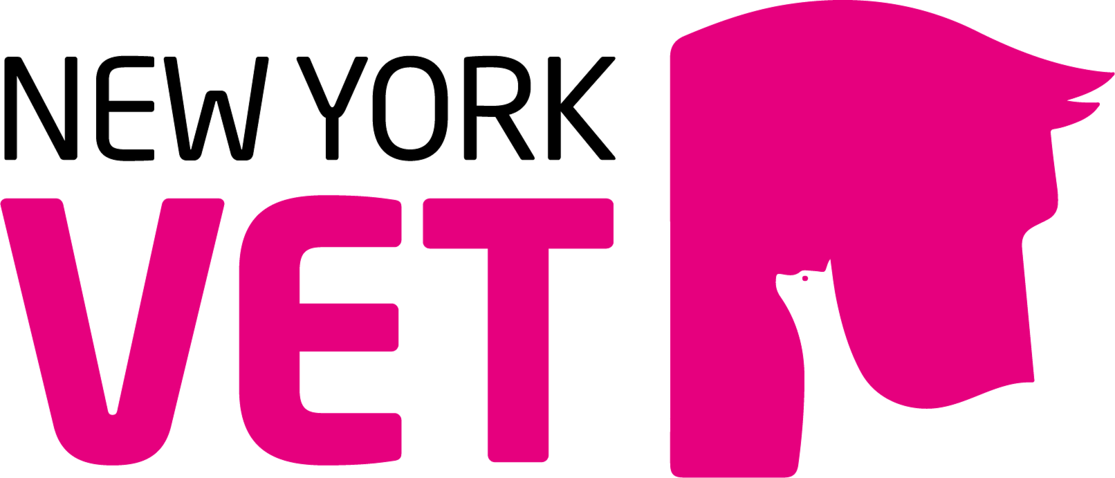 New York Vet Show, New York City, . - Dr. Marty Becker