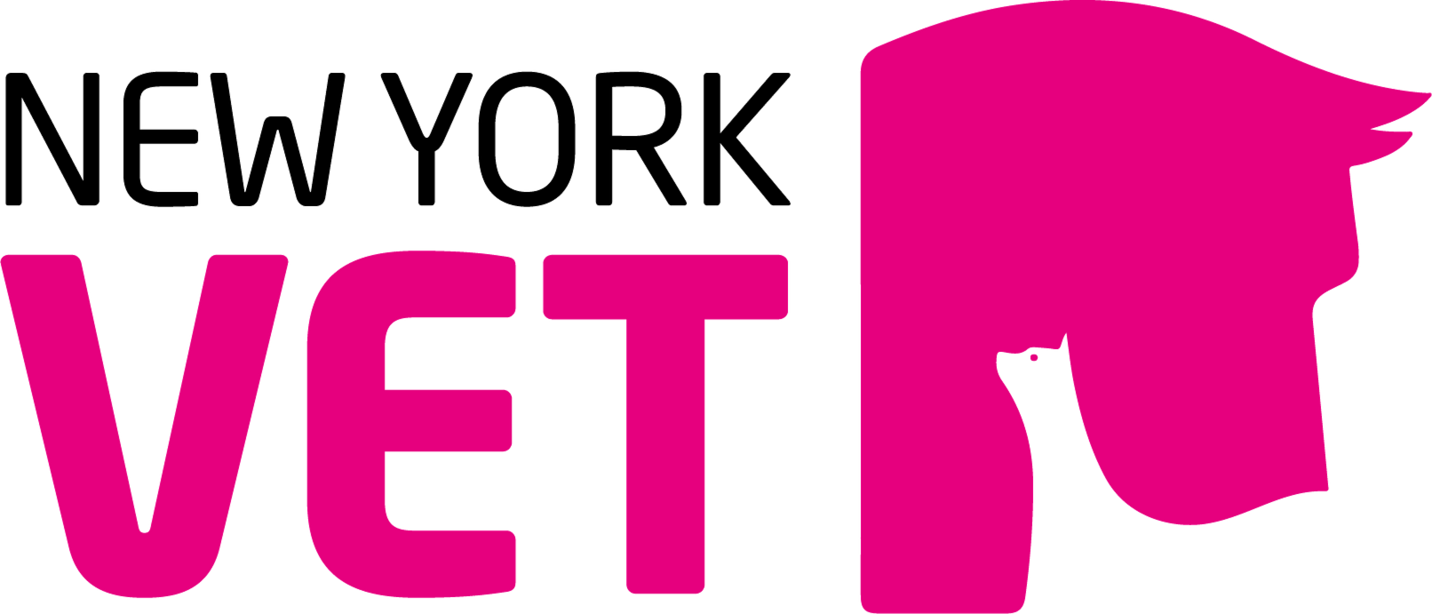 New York Vet Show, New York City, . - Dr. Marty Becker New York Vet Show, New York City, . - Dr. Marty Becker