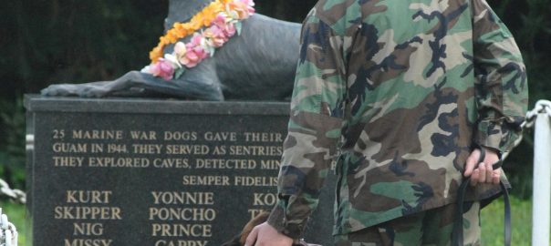 Santa Rita, Guam (October 27, 2006) ñ Petty Officer 2nd Class Blake Soller, a Military Working Dog (MWD) handler pets the head of MWD Rico, at the War Dog Cemetery located on Naval Base Guam Oct. 27. Soller is currently assigned to Naval Security Force Detachment Guam to the MWD kennel. U.S. Navy photo by Petty Officer 2nd Class John F. Looney