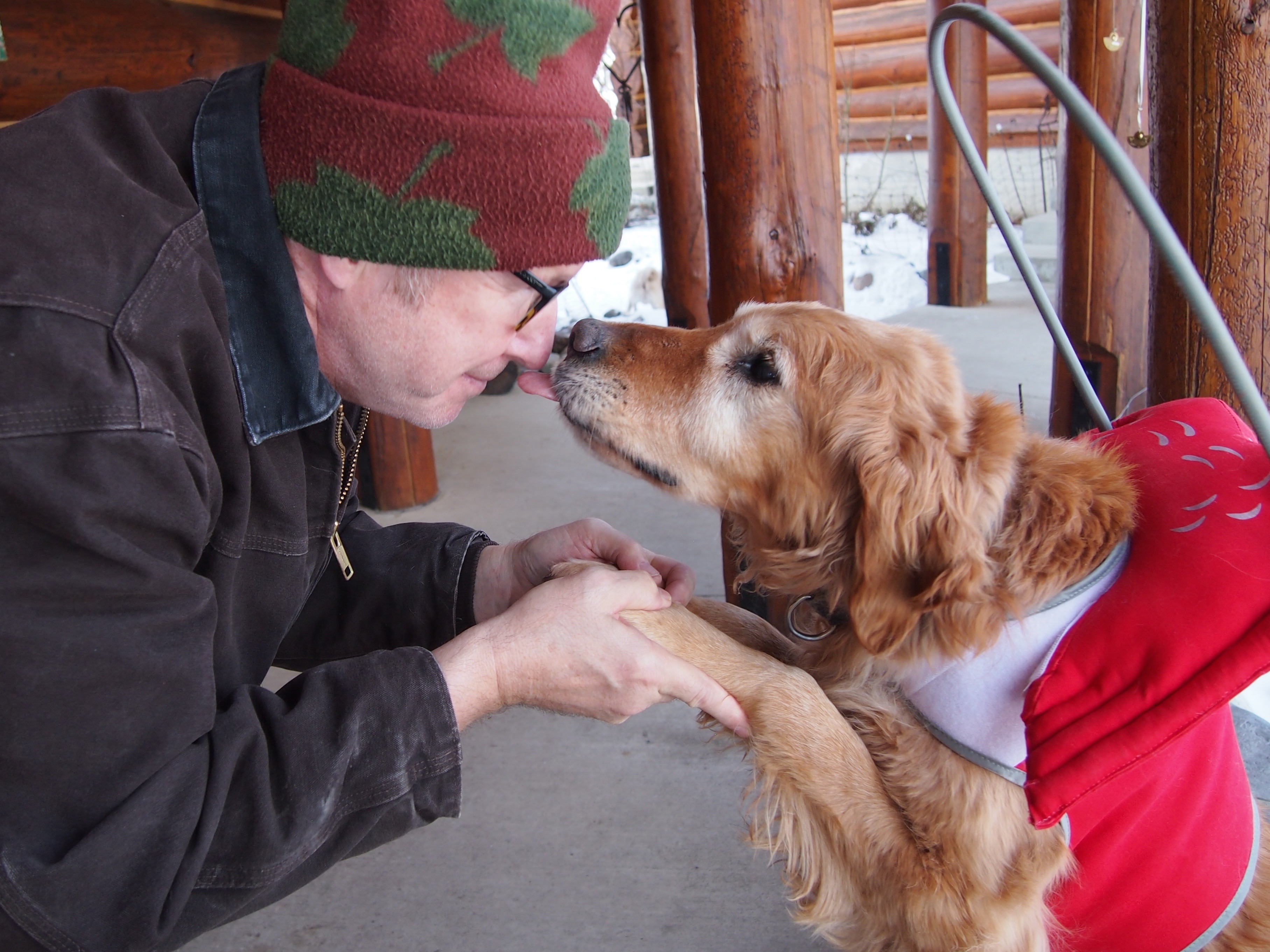 Dr. Becker and senior Golden Retriever Shakira