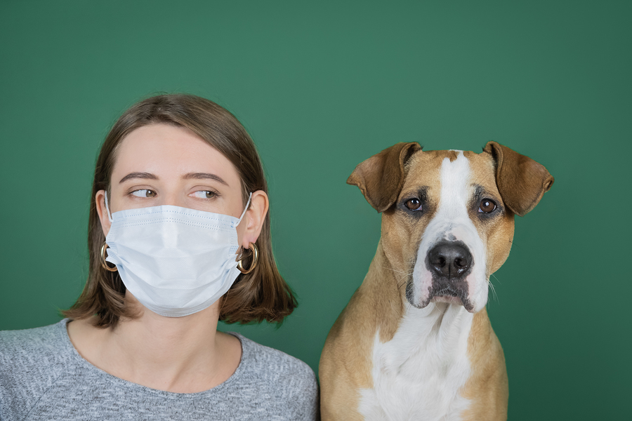 Woman wearing respiratory mask while looking at her dog