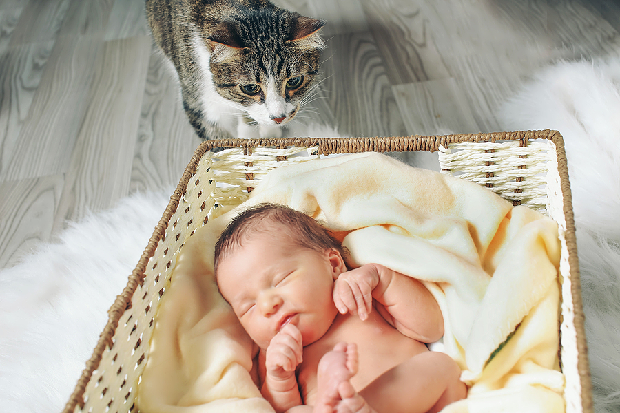 Baby with cat