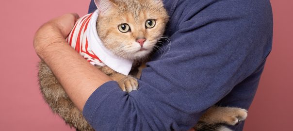 scared cat in man's arms